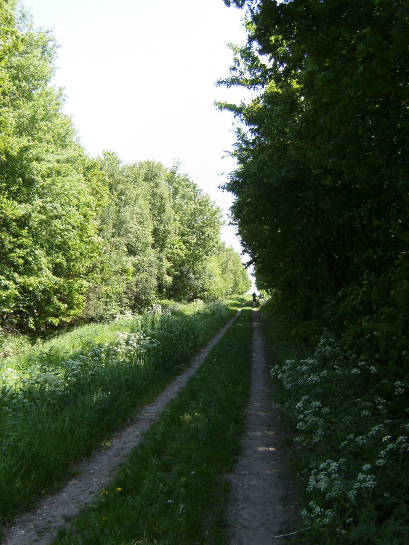 HPIM1336 1249
