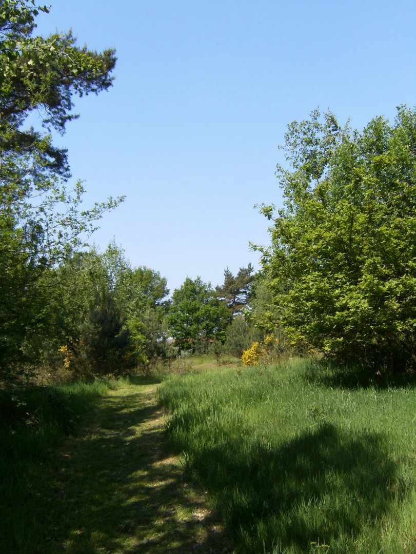 HPIM1325 1255