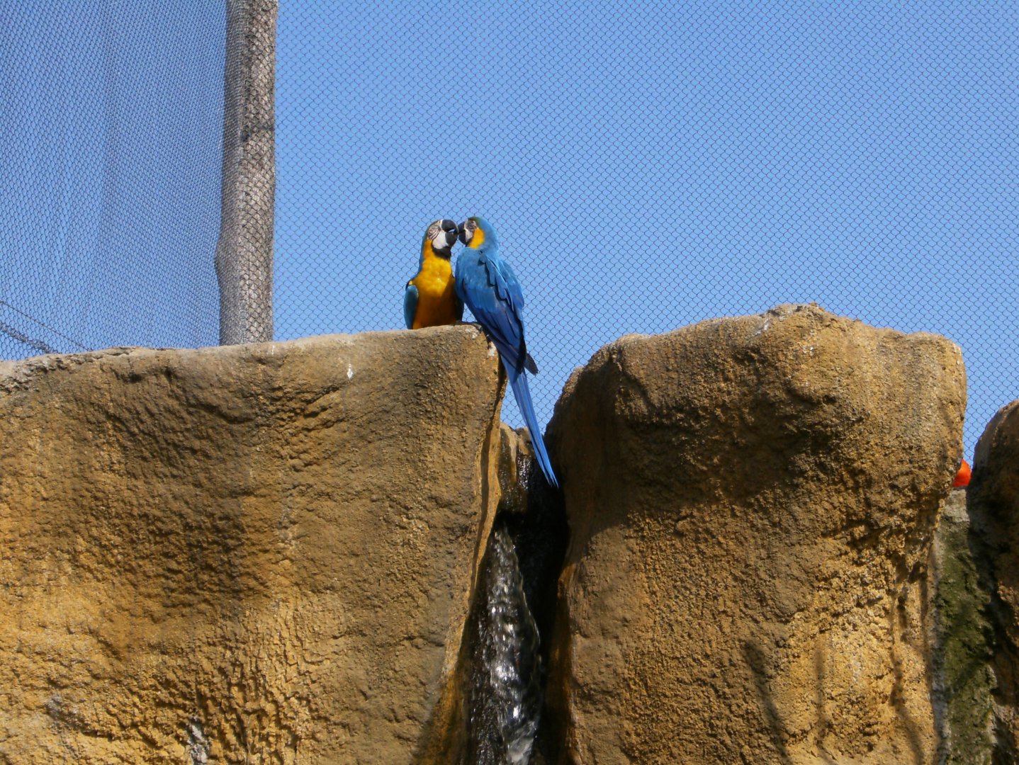 HPIM0696.JPG 19