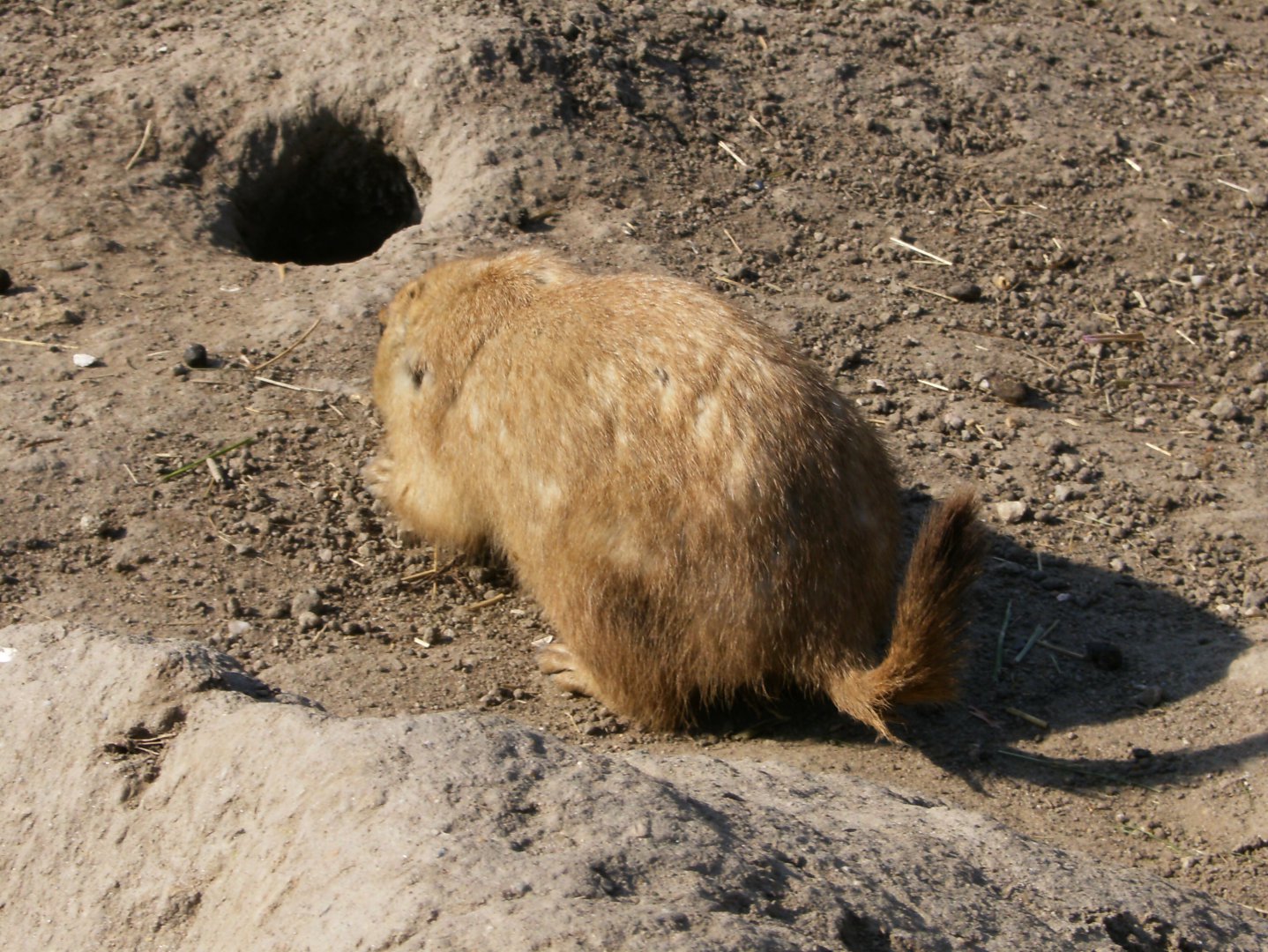 HPIM0685.JPG 23