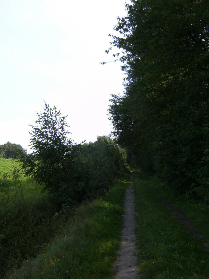 HPIM1849 4220