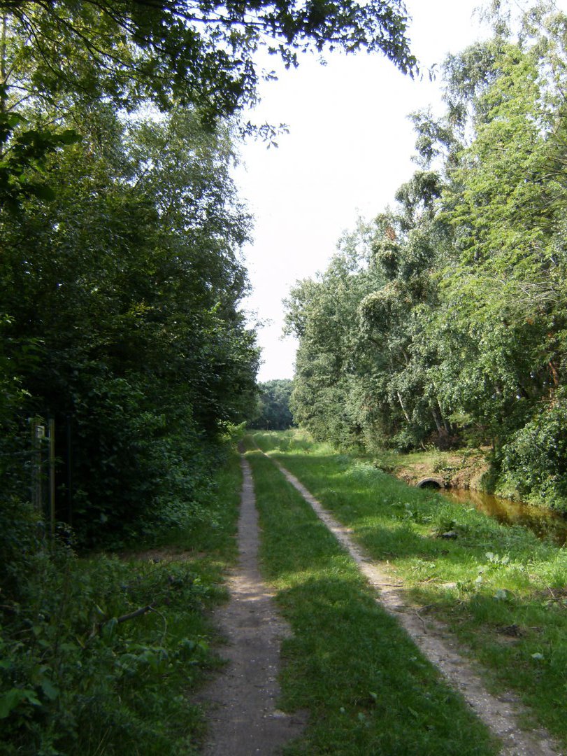 HPIM1852 4223