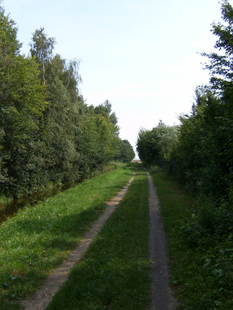 HPIM1853 4224