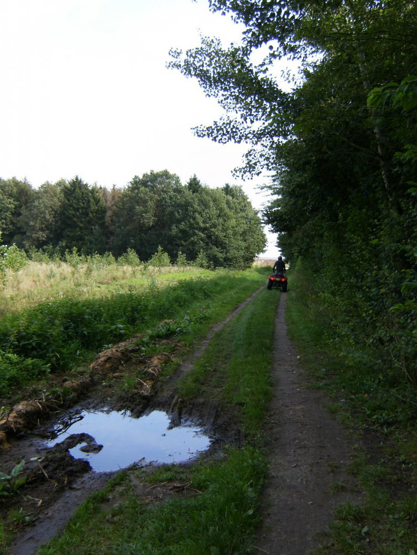 HPIM1855 4226