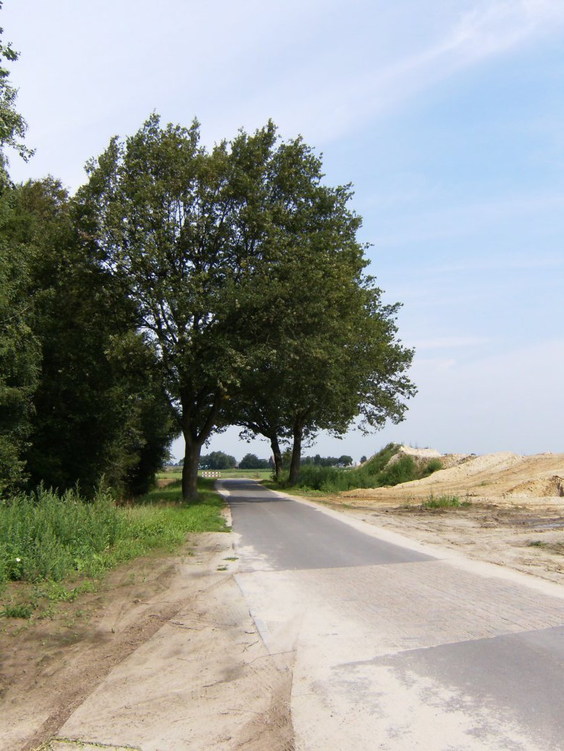 HPIM1856 4227