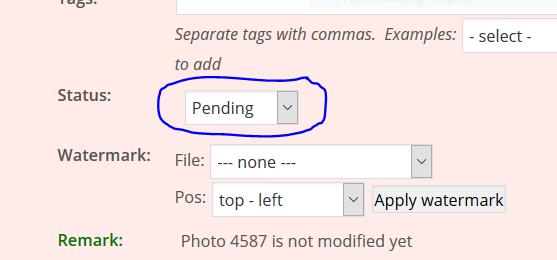 Moderate photo status 4590