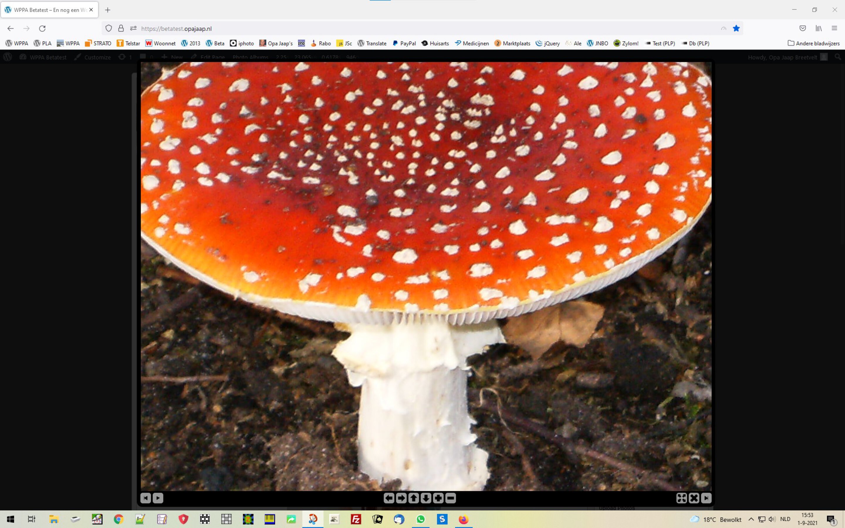 Lightbox with zoomable image 4965
