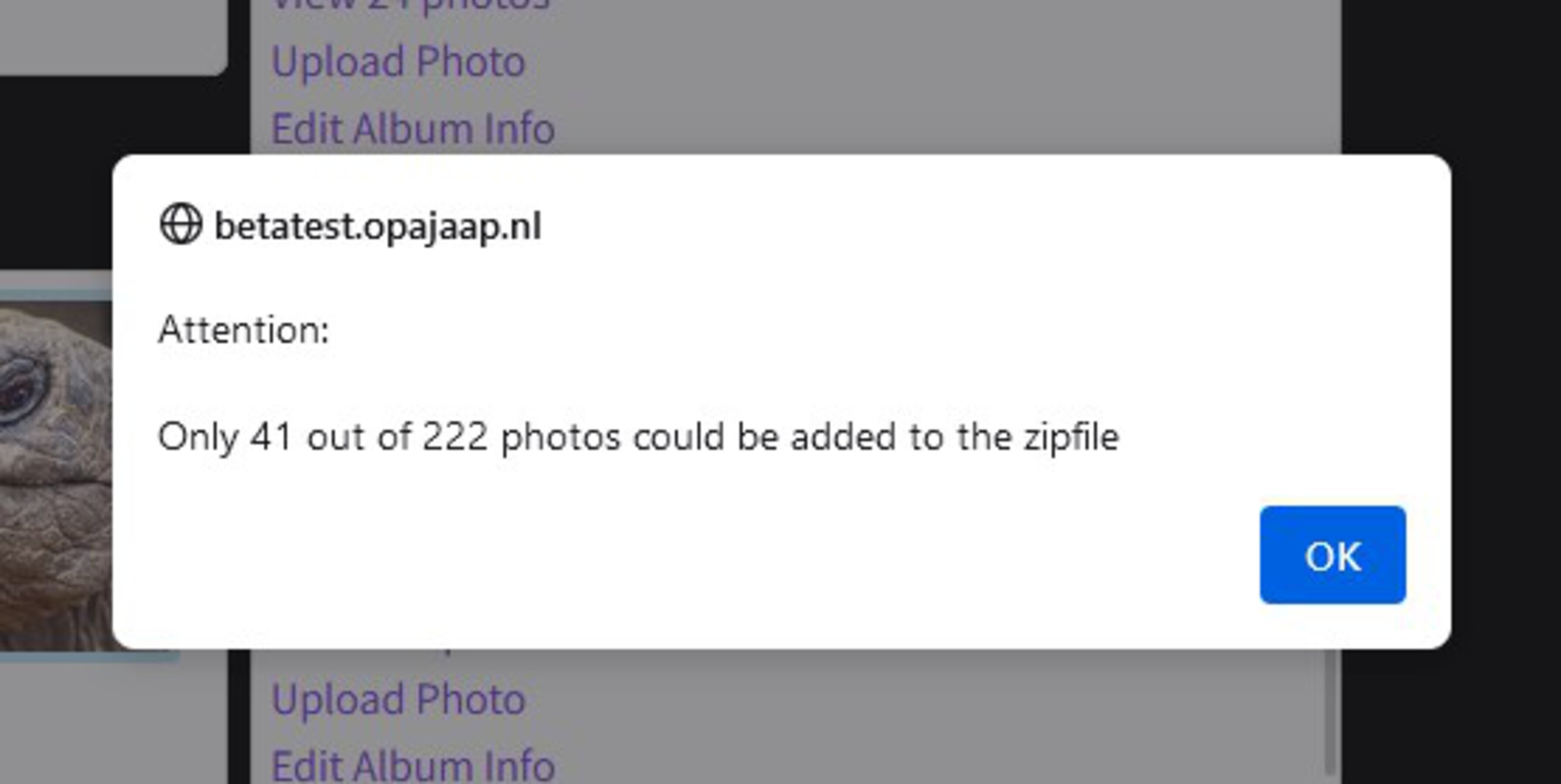 Too many photos 4979