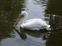 HPIM0727.JPG 2049