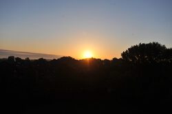 DSC_8309.JPG 3205