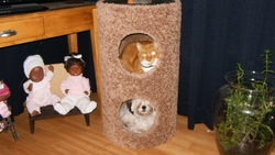 HPIM2552.JPG 3237
