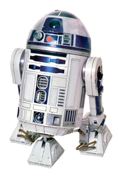 r2.jpg 3968
