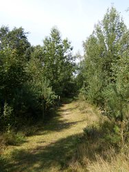 HPIM1832 4205