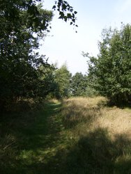 HPIM1833 4206