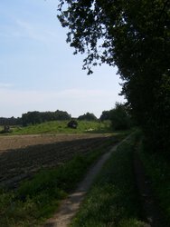 HPIM1846 4217