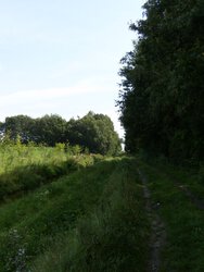 HPIM1851 4222