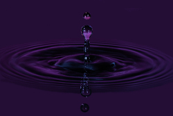 goutte-Michel-Larroque-OI-PAU 4653