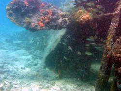 Old Ship Prop 4686