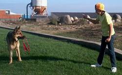 We know... about dog and children very well 4802