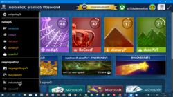 Solitare-bug 4902